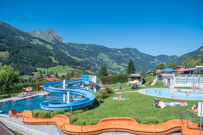 Chalet Franzi - Das Family-Ferienhaus Mit Gratiseintritt Ins Solarbad Дорфгаштайн Экстерьер фото